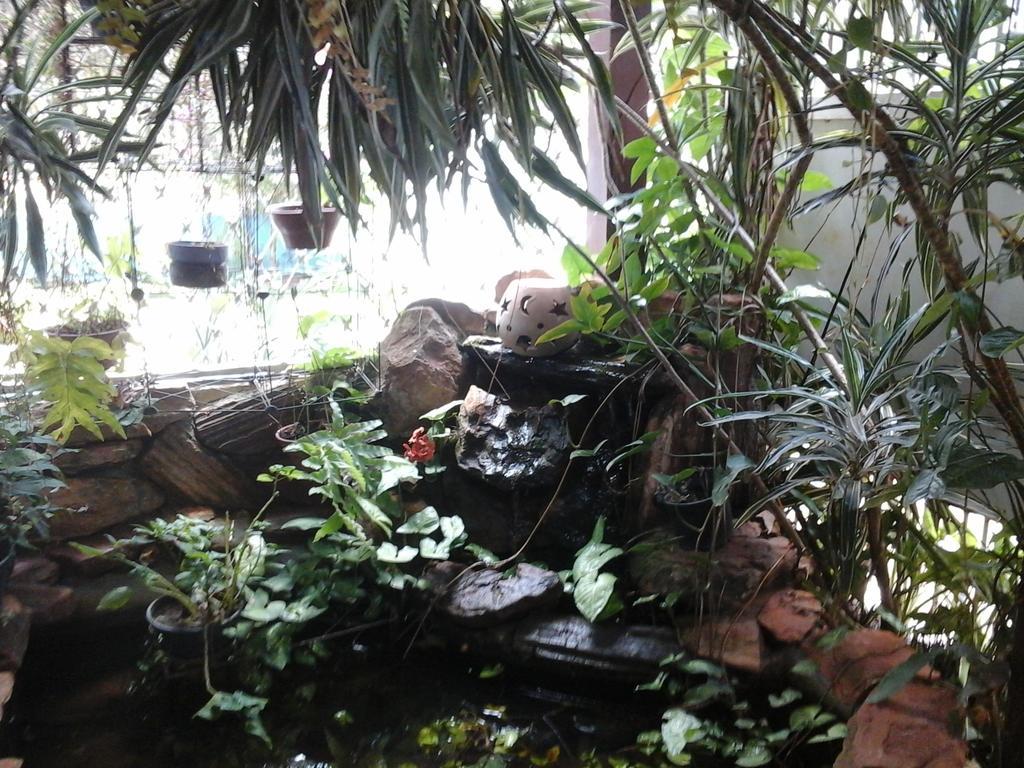 KzaZendf Cama e Cafe Asa Sul Brasília Exterior foto